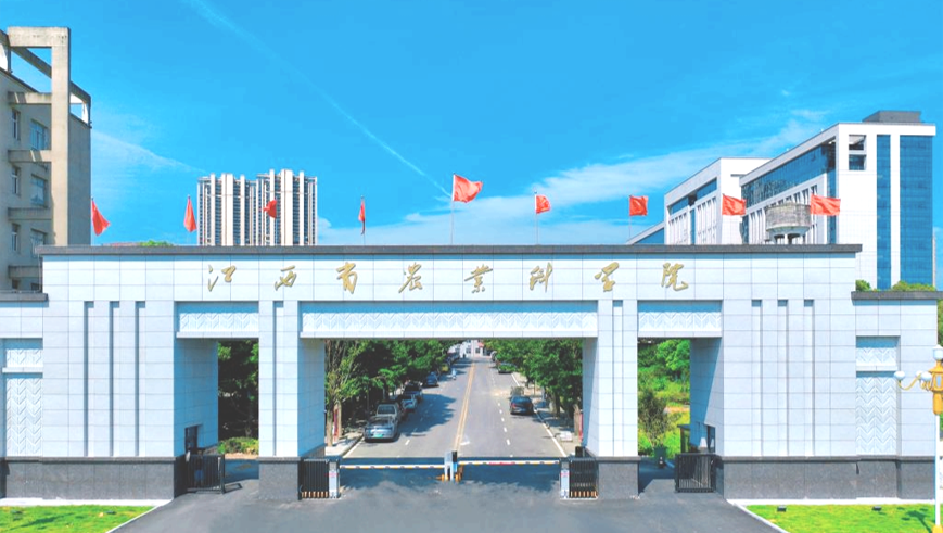 1f98e0b0679a2cfe7c8b1deaa2df8dd.png